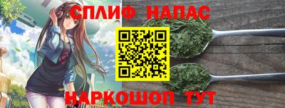 тгк Обь