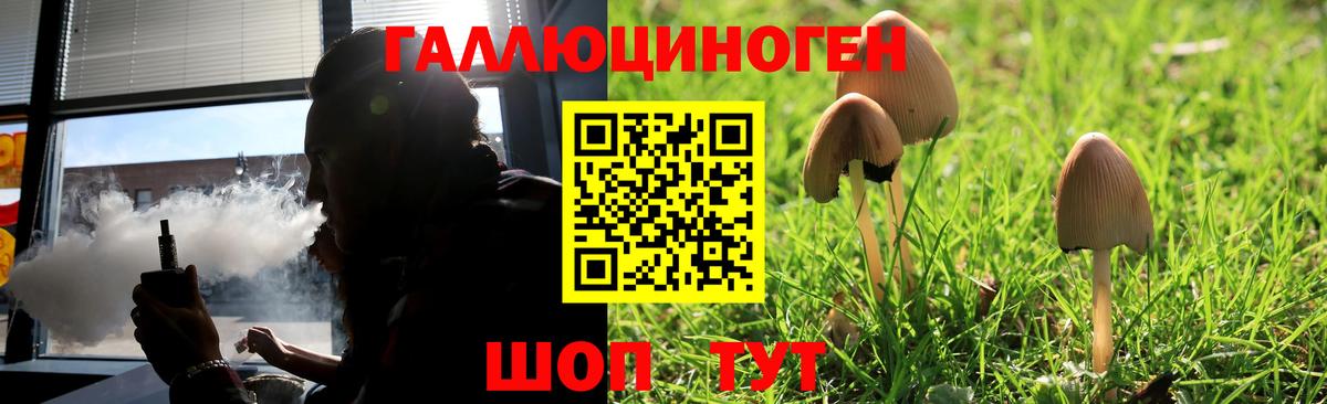 Галлюциногенные грибы Cubensis Рузаевка