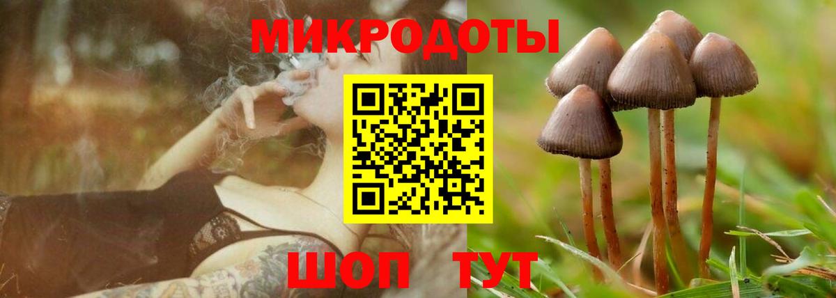 Галлюциногенные грибы MAGIC MUSHROOMS  Псилоцибиновые грибы мицелий  Вход с VPN  Рузаевка 
